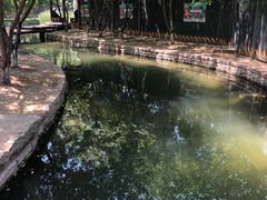 -春风习习