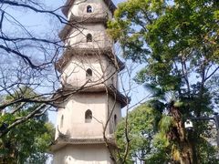 -江心屿景区