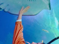 -沈阳海洋探索中心