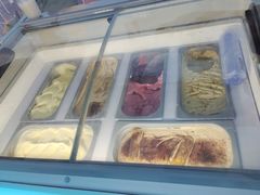 -维尔纳斯·生日蛋糕动物奶油冰淇淋蛋糕(人大店)