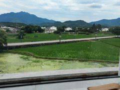 -黄牛肉馆·皖南土菜