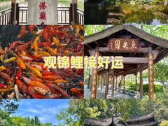 -西湖游船
