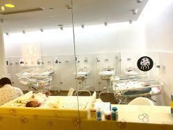 -海豚湾高端月子会所(黄浦店)