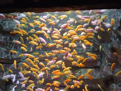 -多彩贵州城极地海洋世界