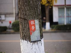 -四川大学(望江校区)