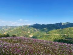 -云顶山风景区