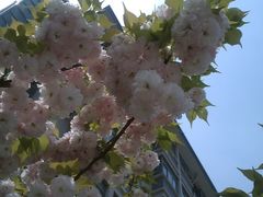 -江南大学(蠡湖校区)