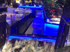 -加餐海鲜自助(宝龙一城店)