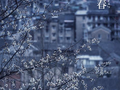 -台州府城(江南长城)
