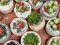 -循礼门鲜花花市(武汉循礼门店)