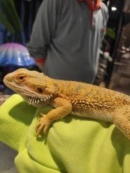 -酷嗒动物文化乐园(cutezoo西溪乐天城店)