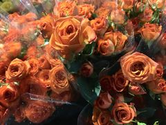 -循礼门鲜花花市(武汉循礼门店)