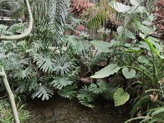 -金稼园·金平湖农家菜
