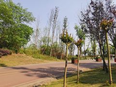 -白鹭湾湿地公园