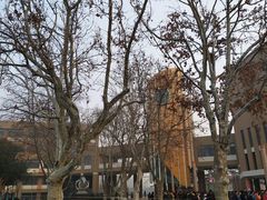 -山东省青岛第二中学(江西路分校)