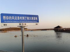 -南大港湿地风景区
