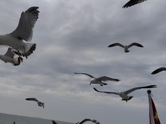 -海驴岛(荣成市)