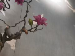 -苏帮袁Sue Cuisine(南开大悦城店)