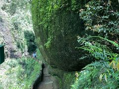 -青城山