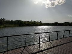 -东郊湿地公园