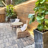 成都探店|清水河公园里的地道成都私房菜