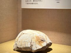 -广东省博物馆