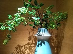-浅深(北京北四环精品店)