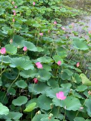 -大望京儿童游乐场