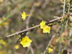 -杭州城北体育公园