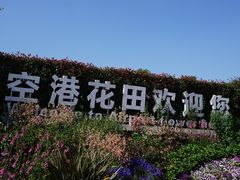 -空港花田景区