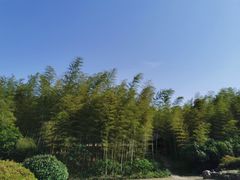 -宜兴龙背山森林公园
