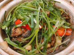 啫啫三文鱼头煲-避风塘·金牌店·夜宵(金玉兰店)