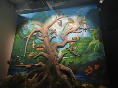 -辽宁古生物博物馆