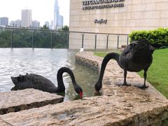 -行者书屋大堂吧 ·下午茶(南京圣和府邸酒店)