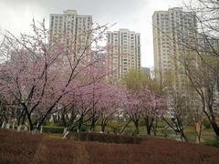 -白塘生态植物园