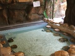 -御池园(顾村公园店)