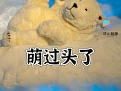 -海合安武汉极地海洋公园