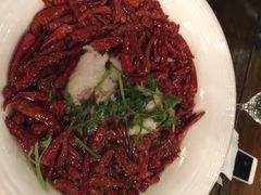 梧桐花园餐厅(车站店)-梧桐花园餐厅(新城店)