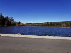 -五营红松林海景区