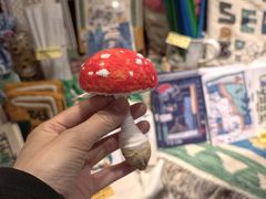 -橡皮书店(翠湖北路店)