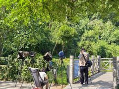 -南宁良凤江国家森林公园