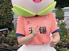 -荷兰花海
