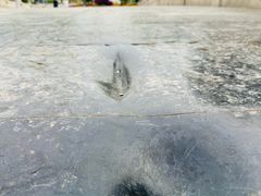 -赵州桥景区