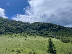-白草畔自然风景区