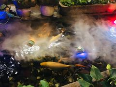 -有梦特色餐厅(古子城店)