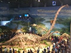 -自贡恐龙博物馆