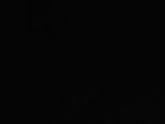 -新侗家食府(蟠桃宫店)