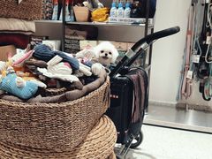 -電力宠物公司(武定路店)