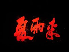 -星河寰宇IMAX影城(星河WORLD·COCO Park店)