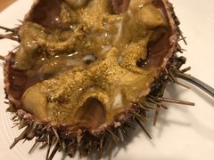 -海胆小馆(东北水饺·春柳店)